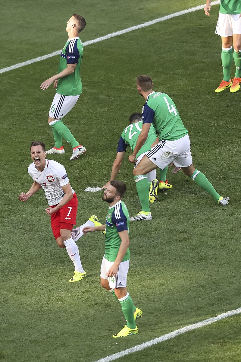 Arkadiusz Milik of Poland celebrates