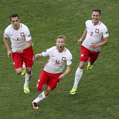 Jakub Blaszczykowski celebrates after scoring