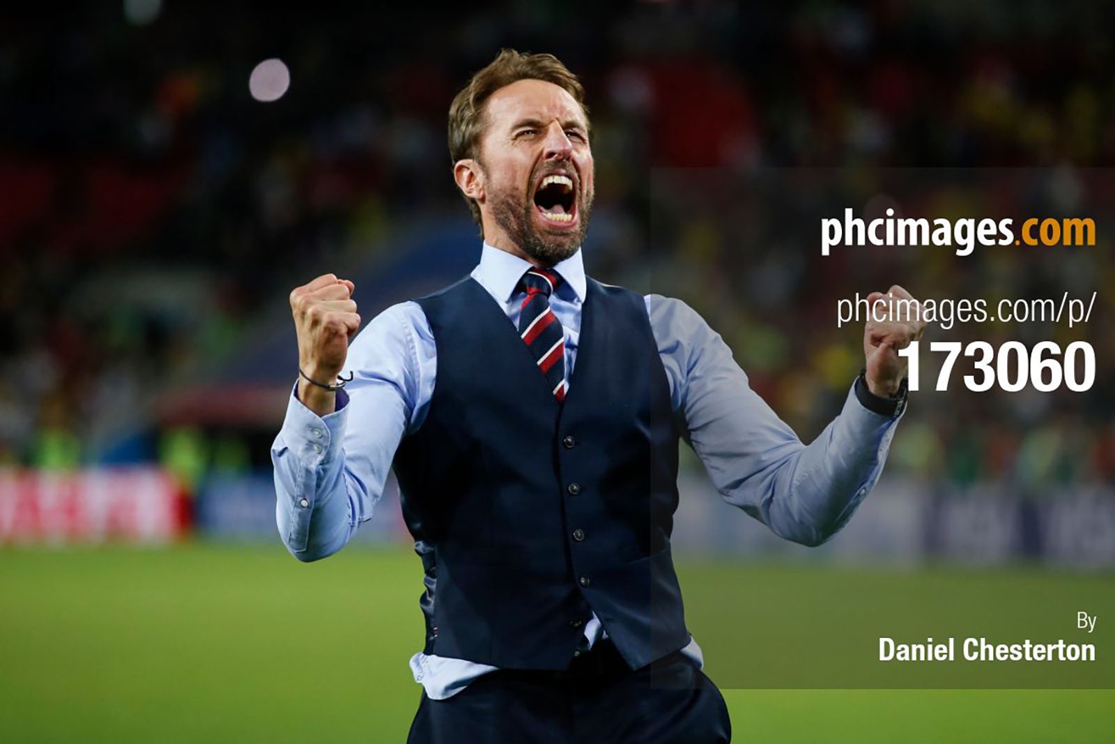 Gareth Southgate celebrates after the match