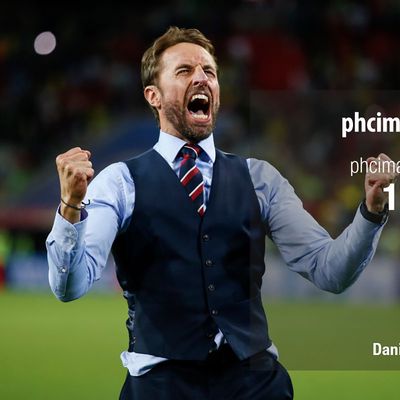 Gareth Southgate celebrates after the match