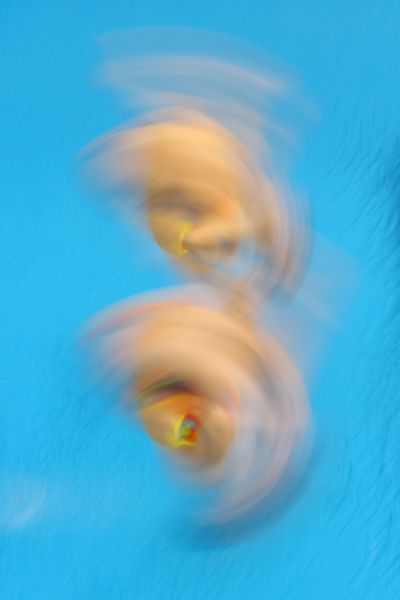 Women's Synchronised Diving